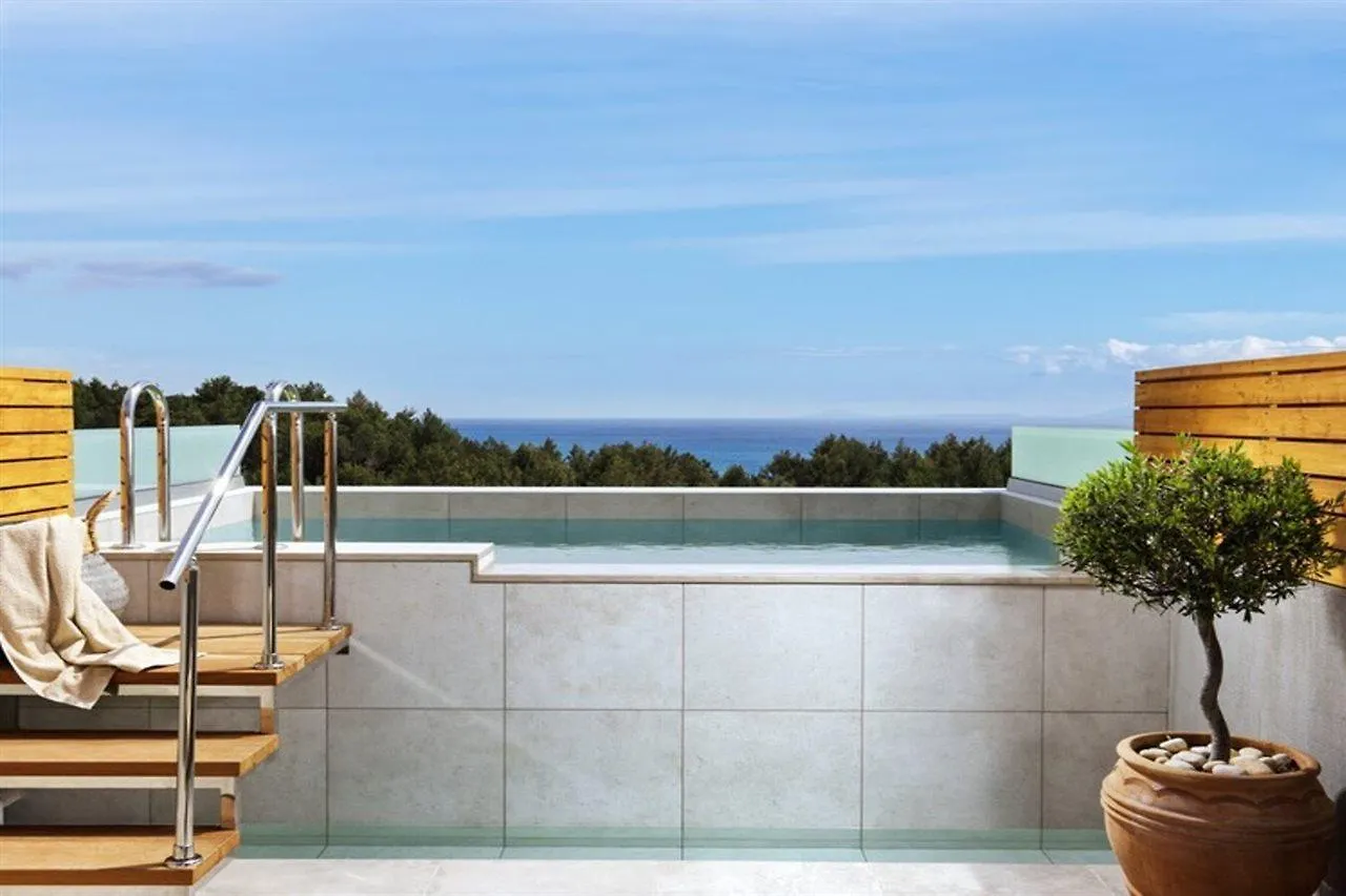 Celestial Hotel Luxury Suites And Spa Afrato Greece